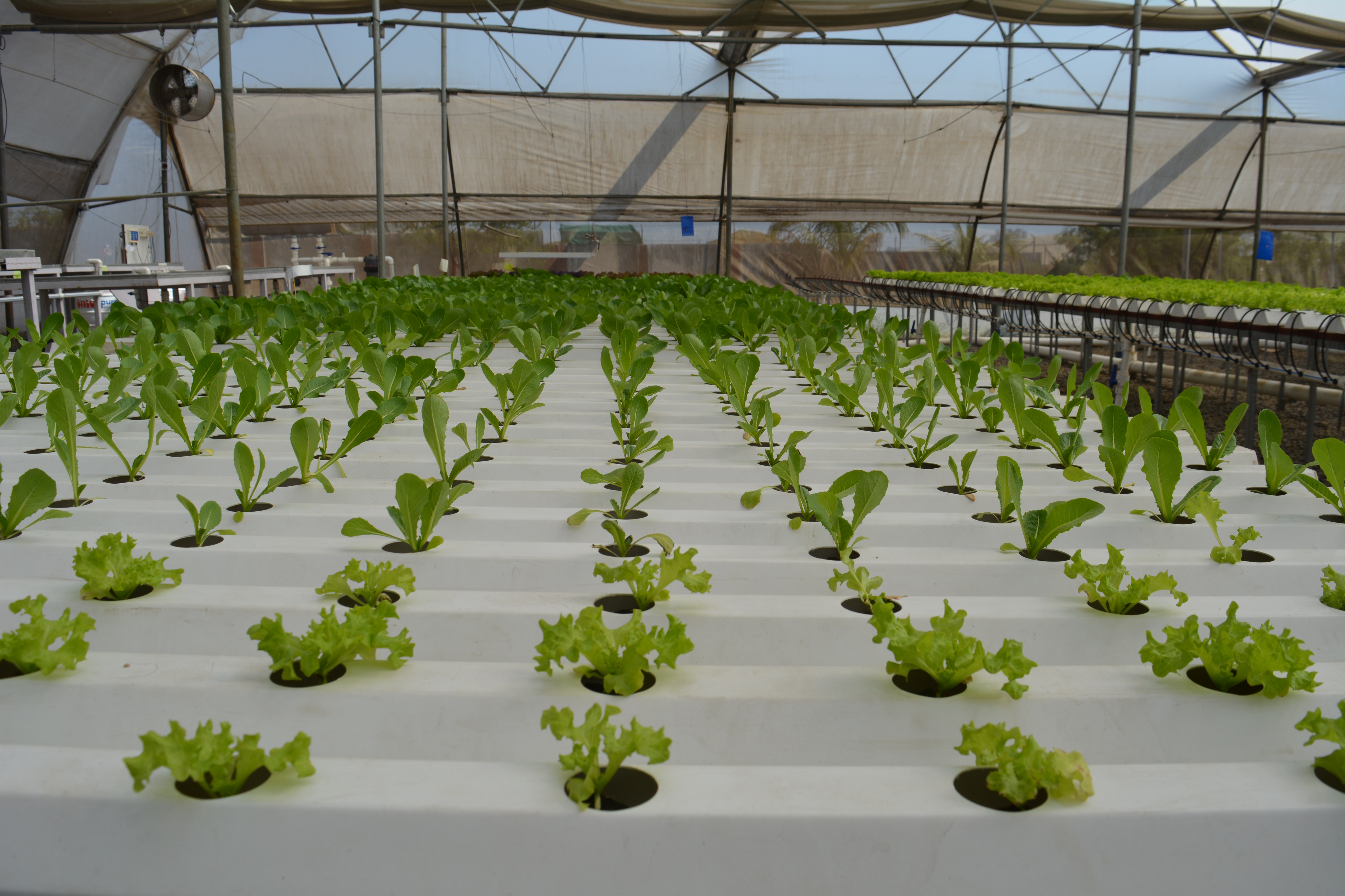 NFT Structure Farm
